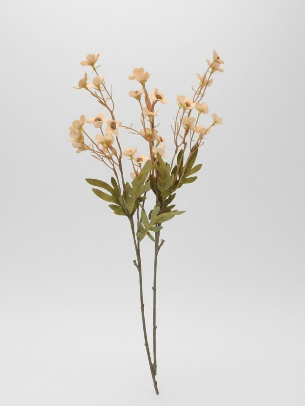 Cream Beige Dogwood Stems Faux Wax Flower Neutral Floral Ivory Home Decor 24 Inc